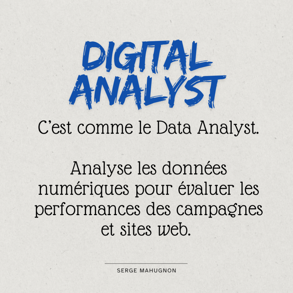  Digital Analyst